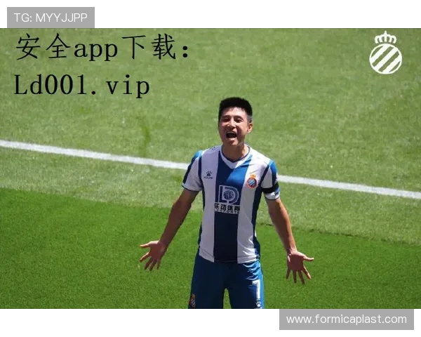 ld乐动体育平台的用户评价与口碑，真实用户体验分享与反馈