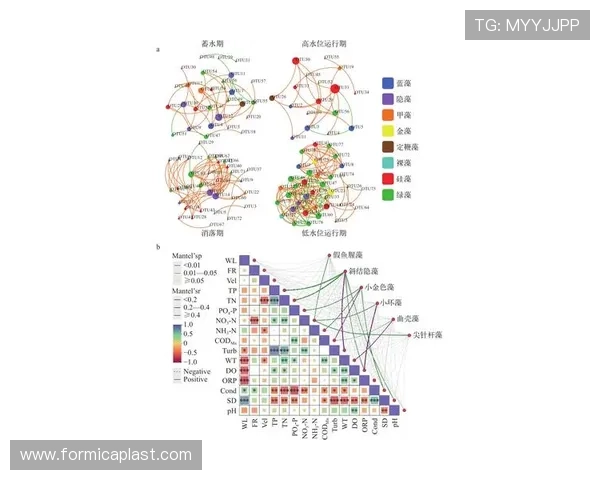 letou线路检测中心在保障网络安全中的关键作用与技术优势分析