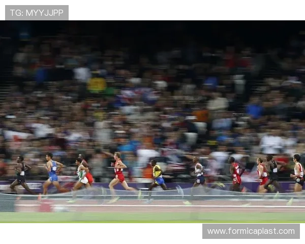 乐投体育网址推荐，安全稳定的乐投体育官方平台入口全攻略